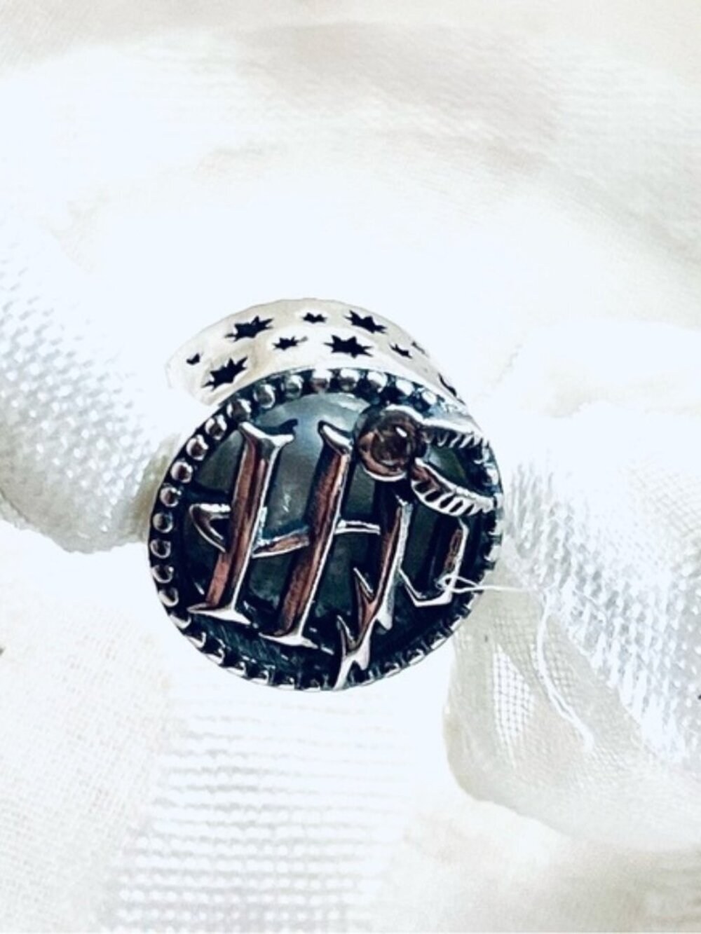 🪶✨ NWOT Harry Potter Charm – Golden Snitch & Hedwig Owl ⚡🦉